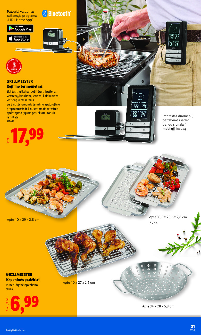 lidl - Grilio katalogas (2026-04-06 - 2026-08-31) - page: 31