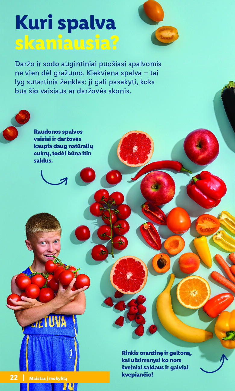 lidl - Atgal į mokyklą (2026-07-20 - 2026-09-06) - page: 22