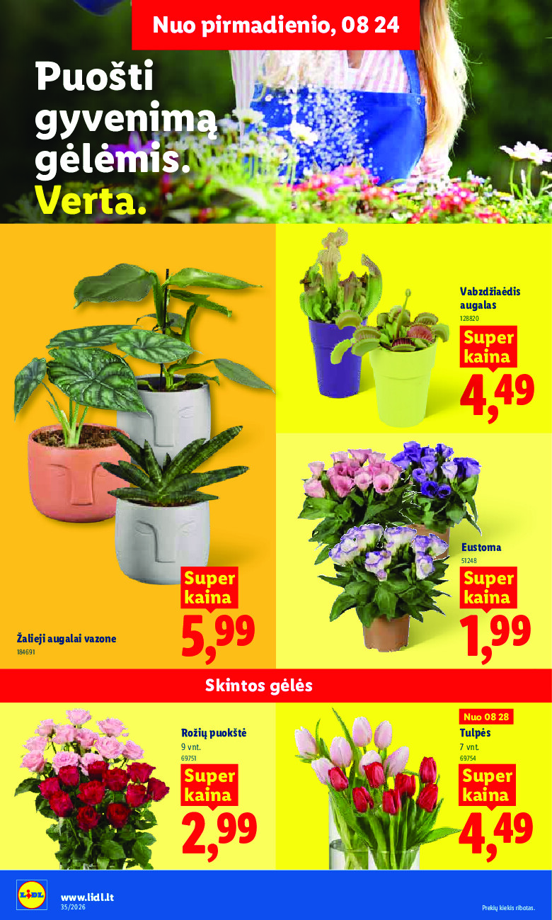 lidl - MAISTO PREKIŲ PASIŪLYMAI (2026-08-24 - 2026-08-30) - page: 6