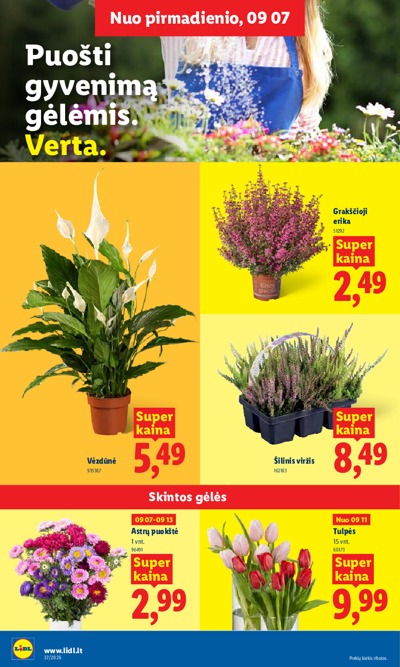 lidl - MAISTO PREKIŲ PASIŪLYMAI (2026-09-07 - 2026-09-13) - page: 20