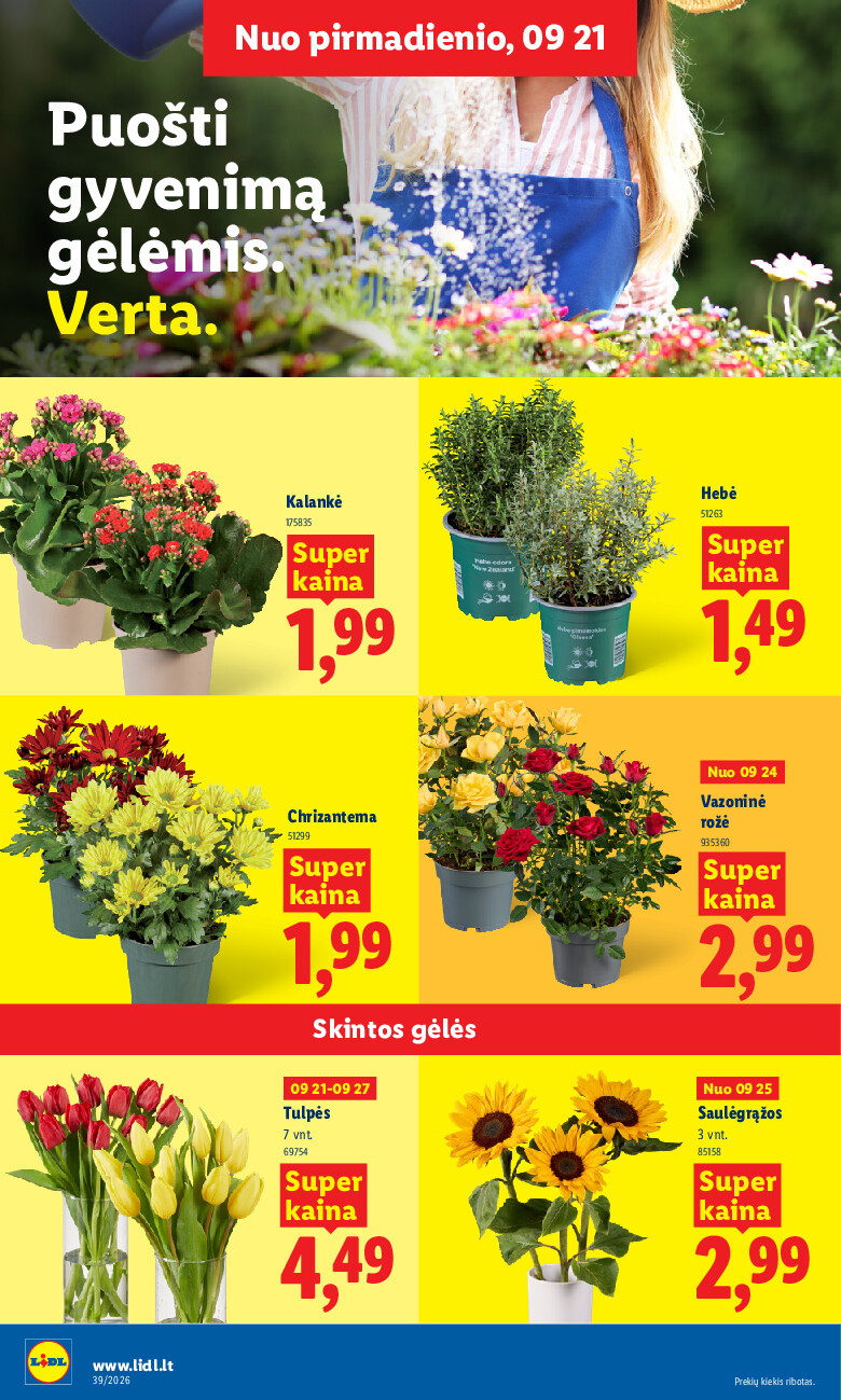 lidl - MAISTO PREKIŲ PASIŪLYMAI (2026-09-21 - 2026-09-27) - page: 16