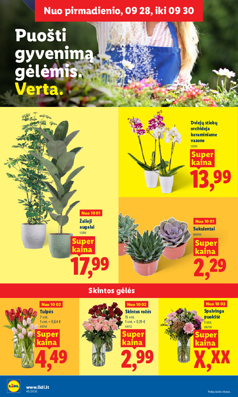 lidl - MAISTO PREKIŲ PASIŪLYMAI (2026-09-28 - 2026-10-04) - page: 26