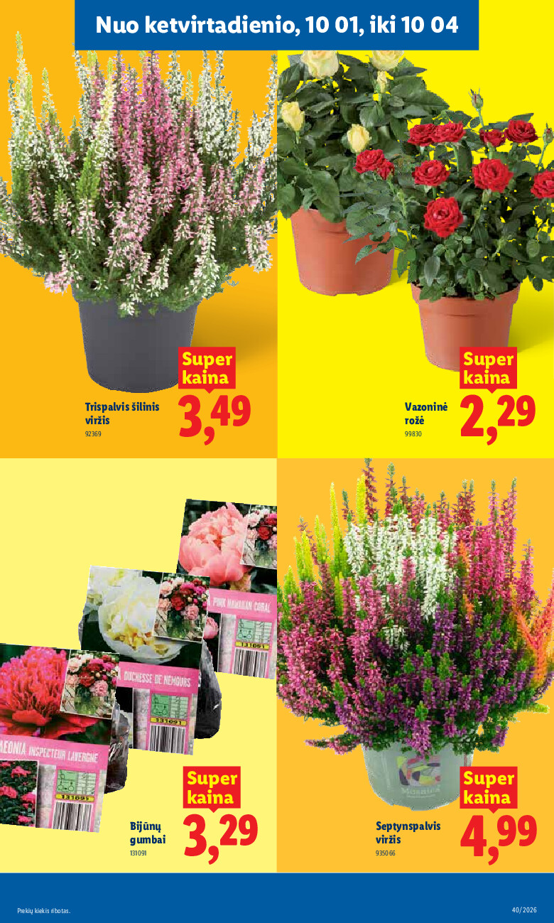 lidl - MAISTO PREKIŲ PASIŪLYMAI (2026-09-28 - 2026-10-04) - page: 27