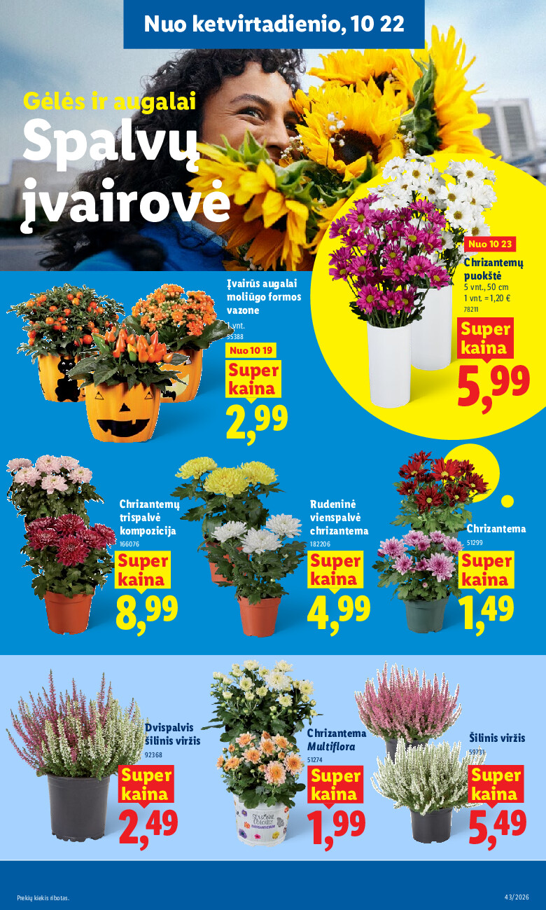 lidl - MAISTO PREKIŲ PASIŪLYMAI (2026-10-19 - 2026-10-25) - page: 33