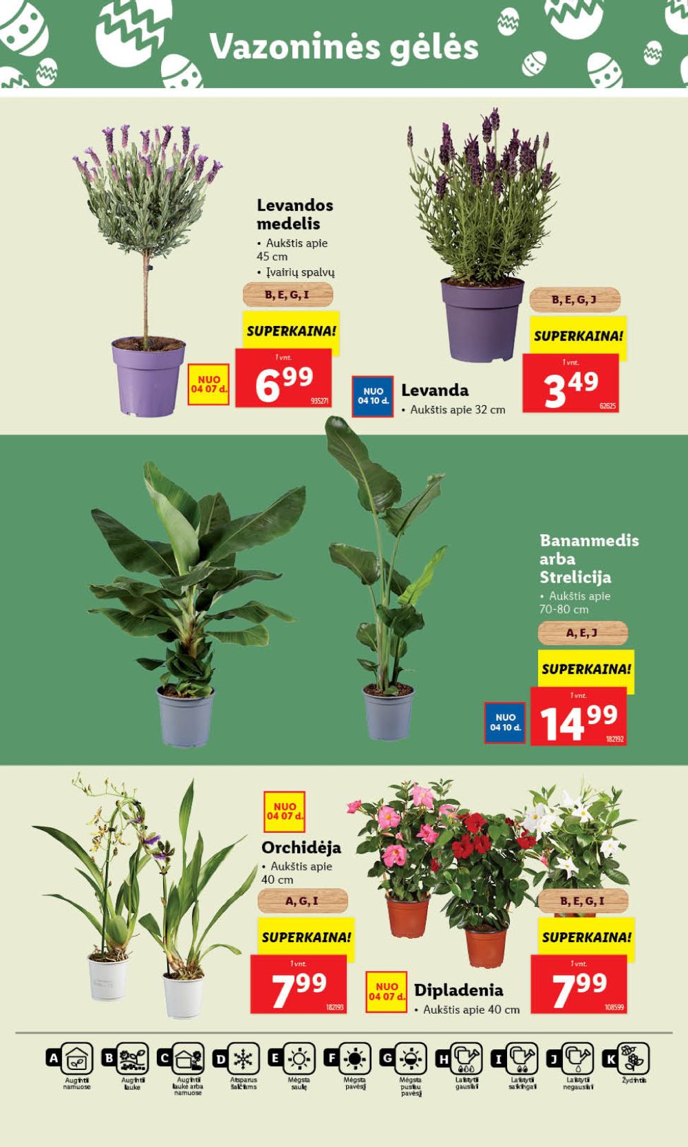 lidl - LIDL - Maisto prekių pasiūlymai (2025 04 10 - 2025 04 13) - page: 56 lidl - LIDL - Maisto prekių pasiūlymai (2025 04 10 - 2025 04 13) - page: 56