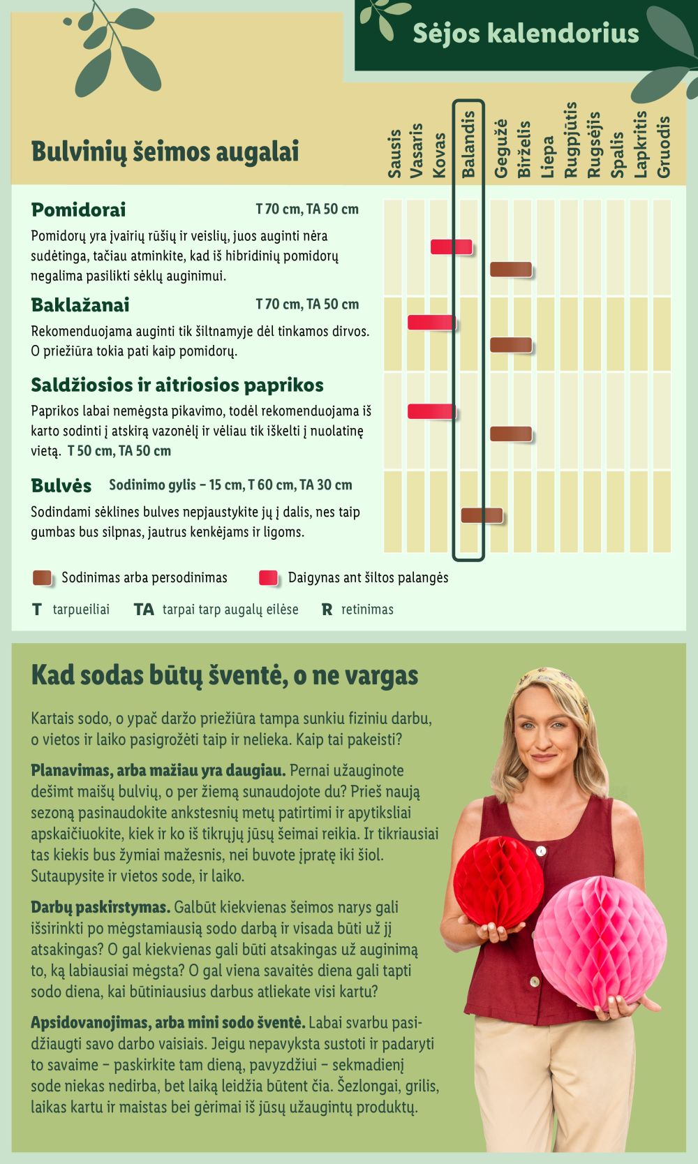 lidl - LIDL - Švenčiame sodą (2025 04 22 - ) - page: 7 lidl - LIDL - Švenčiame sodą (2025 04 22 - ) - page: 7