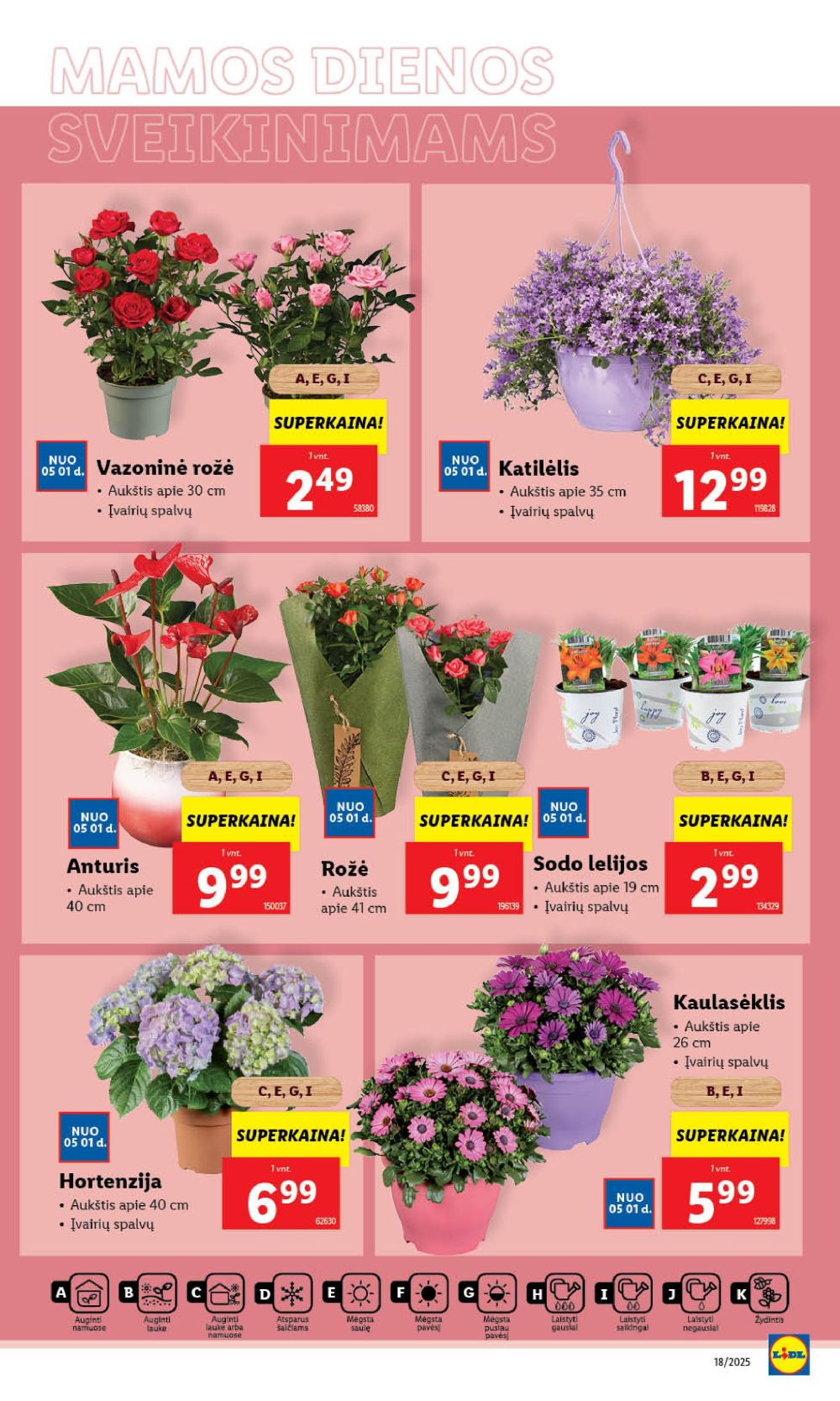 lidl - LIDL - Maisto prekių pasiūlymai (2025 05 01 - 2025 05 04) - page: 5 lidl - LIDL - Maisto prekių pasiūlymai (2025 05 01 - 2025 05 04) - page: 5