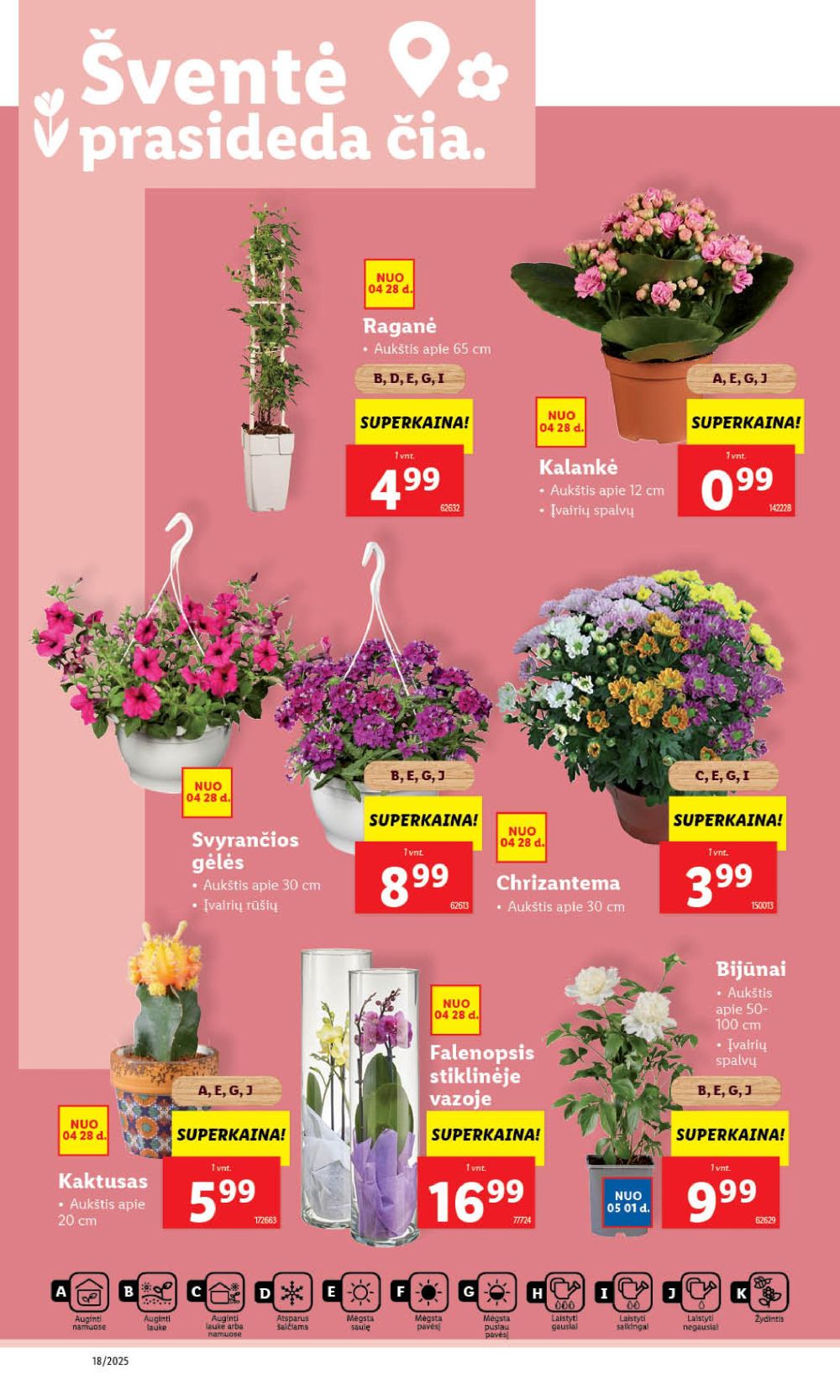 lidl - LIDL - Maisto prekių pasiūlymai (2025 05 01 - 2025 05 04) - page: 7 lidl - LIDL - Maisto prekių pasiūlymai (2025 05 01 - 2025 05 04) - page: 7