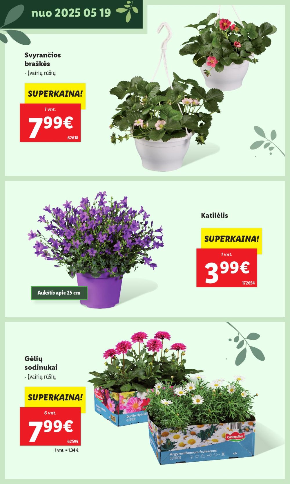 lidl - LIDL - Švenčiame sodą (2025 05 12 - ) - page: 16 lidl - LIDL - Švenčiame sodą (2025 05 12 - ) - page: 16