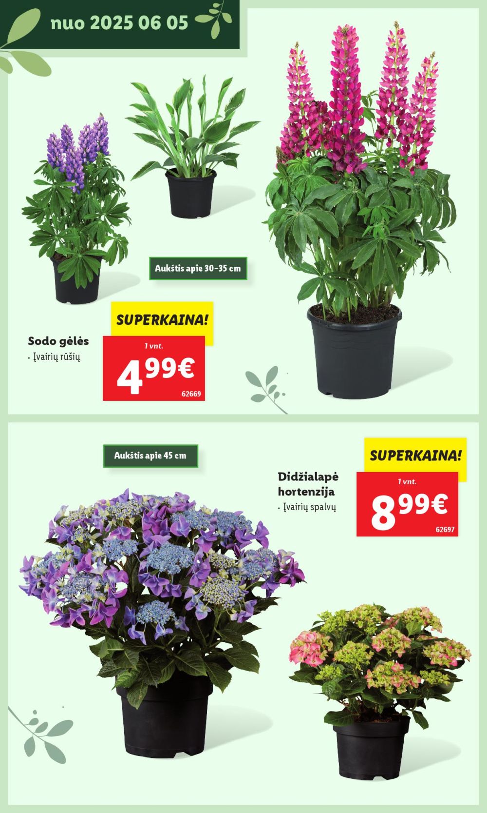 lidl - LIDL - Švenčiame sodą (2025 05 12 - ) - page: 26 lidl - LIDL - Švenčiame sodą (2025 05 12 - ) - page: 26