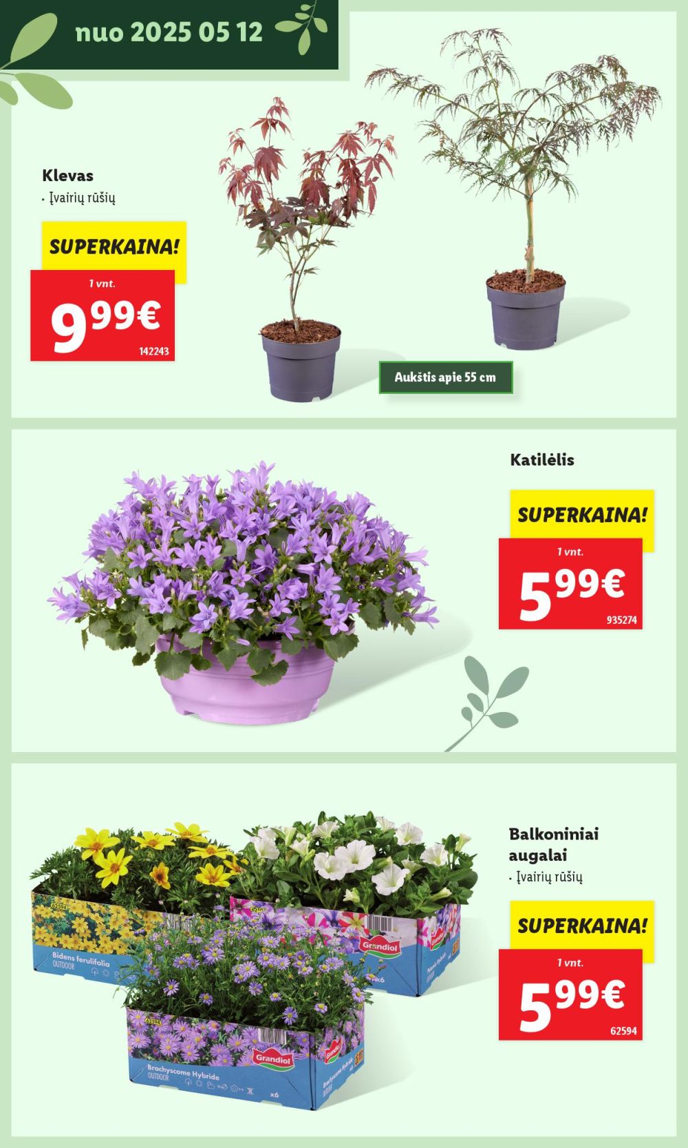 lidl - LIDL - Švenčiame sodą (2025 05 12 - ) - page: 10 lidl - LIDL - Švenčiame sodą (2025 05 12 - ) - page: 10
