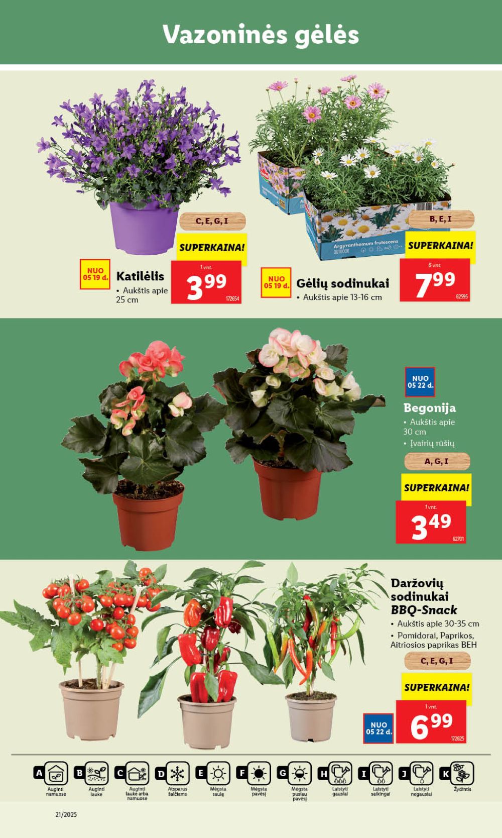 lidl - LIDL - Maisto prekių pasiūlymai (2025 05 19 - 2025 05 25) - page: 38 lidl - LIDL - Maisto prekių pasiūlymai (2025 05 19 - 2025 05 25) - page: 38