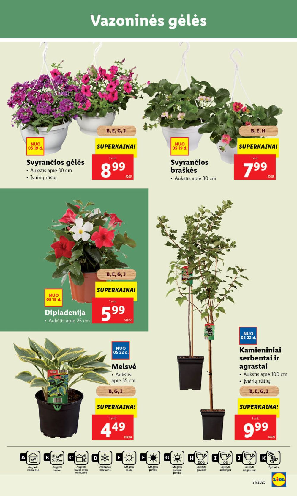 lidl - LIDL - Maisto prekių pasiūlymai (2025 05 19 - 2025 05 25) - page: 39 lidl - LIDL - Maisto prekių pasiūlymai (2025 05 19 - 2025 05 25) - page: 39