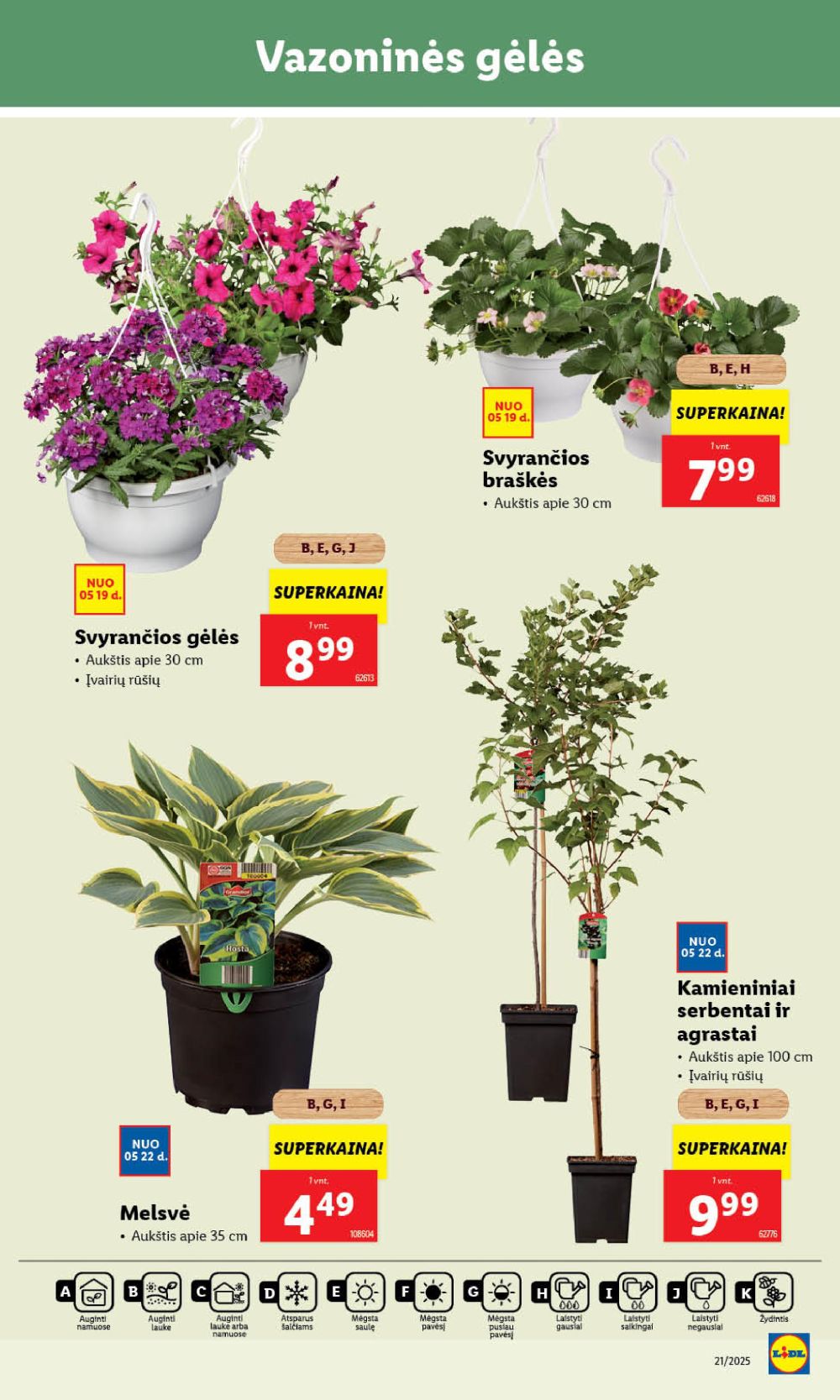 lidl - LIDL - Maisto prekių pasiūlymai (2025 05 22 - 2025 05 25) - page: 47 lidl - LIDL - Maisto prekių pasiūlymai (2025 05 22 - 2025 05 25) - page: 47