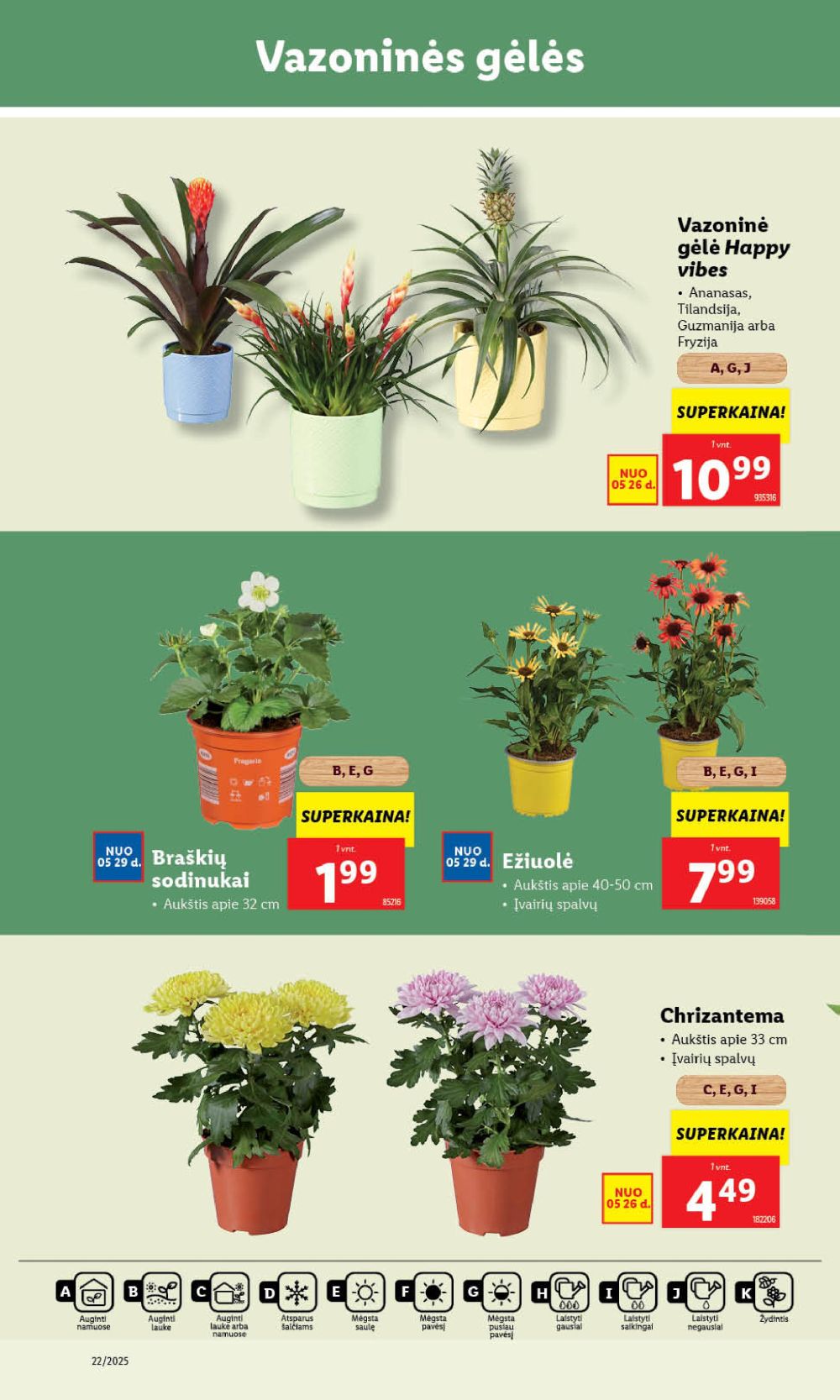 lidl - LIDL - Maisto prekių pasiūlymai (2025 05 29 - 2025 06 01) - page: 38