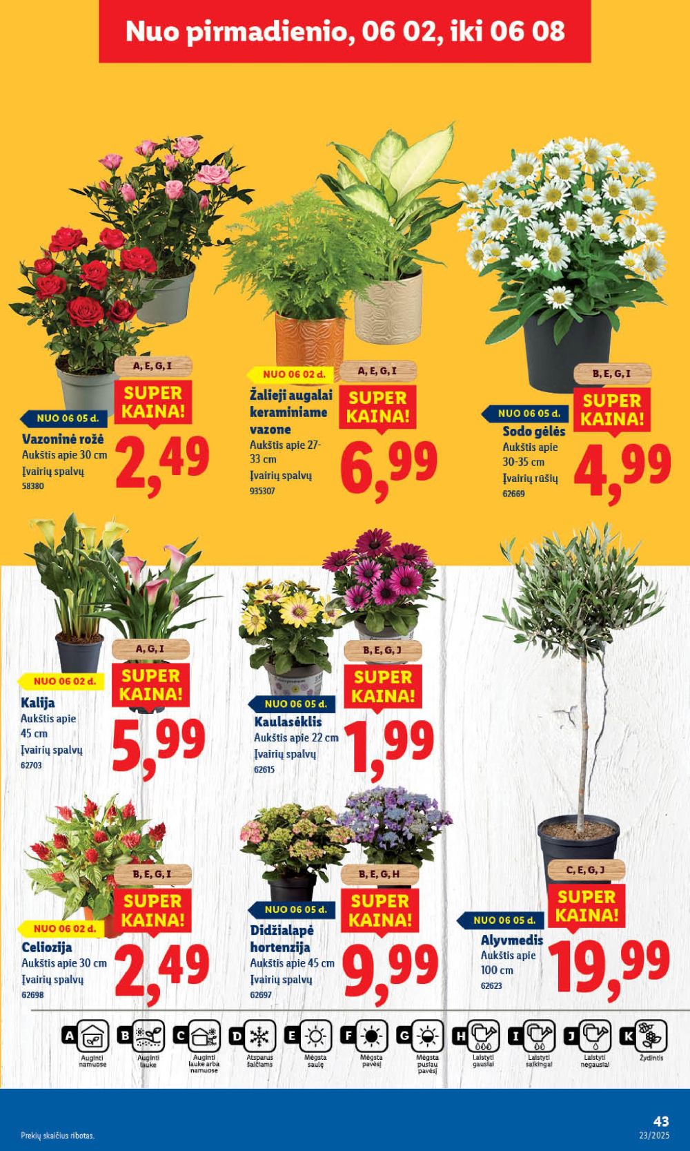 lidl - LIDL - Maisto prekių pasiūlymai (2025 06 05 - 2025 06 08) - page: 59