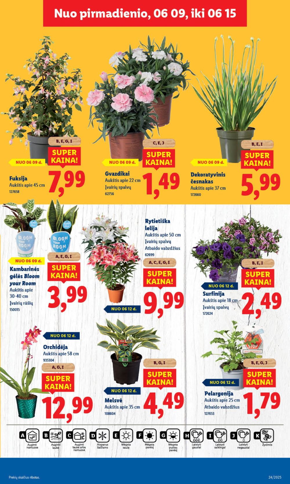 lidl - LIDL - Maisto prekių pasiūlymai (2025 06 09 - 2025 06 15) - page: 41