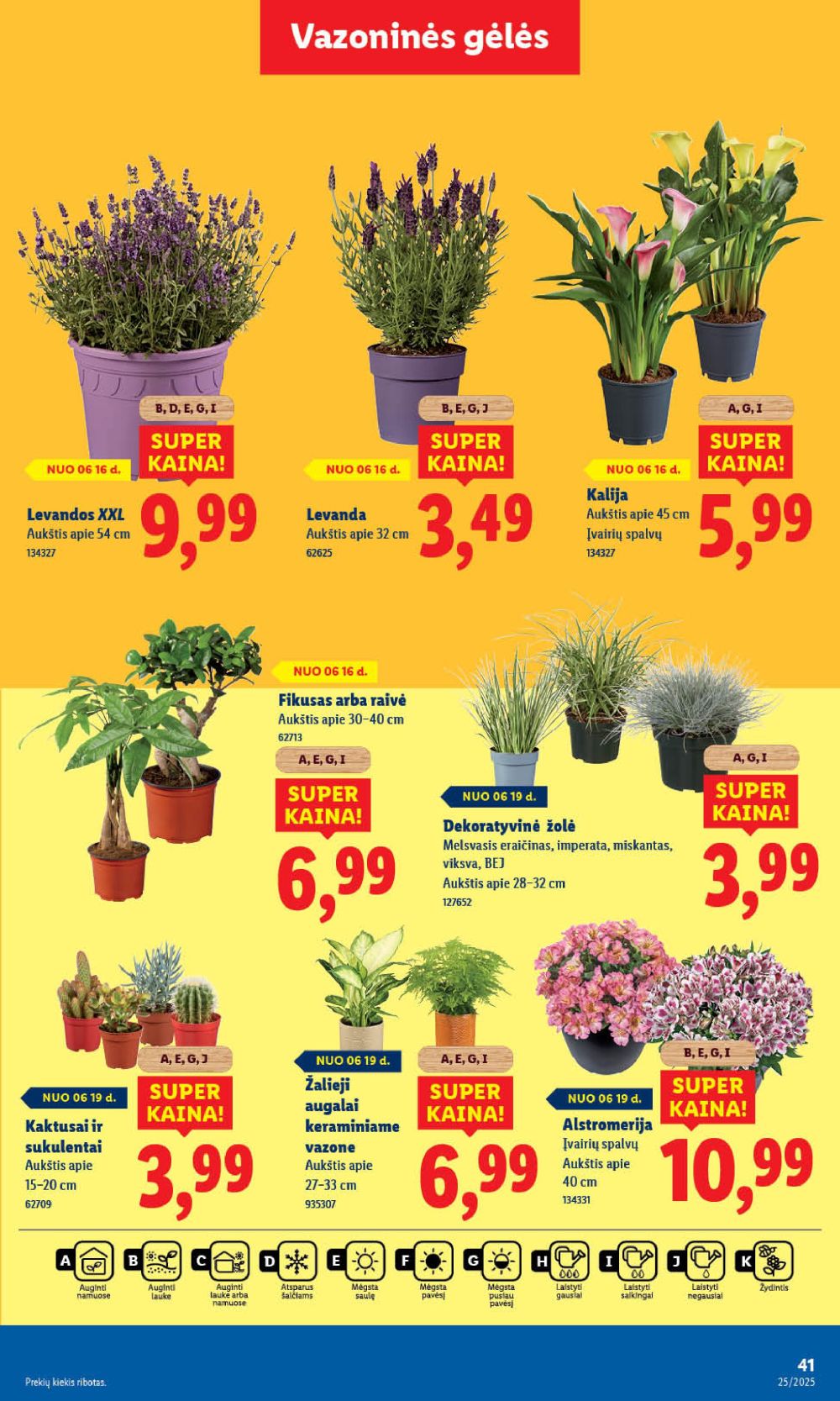lidl - LIDL - Maisto prekių pasiūlymai (2025 06 19 - 2025 06 22) - page: 53 lidl - LIDL - Maisto prekių pasiūlymai (2025 06 19 - 2025 06 22) - page: 53