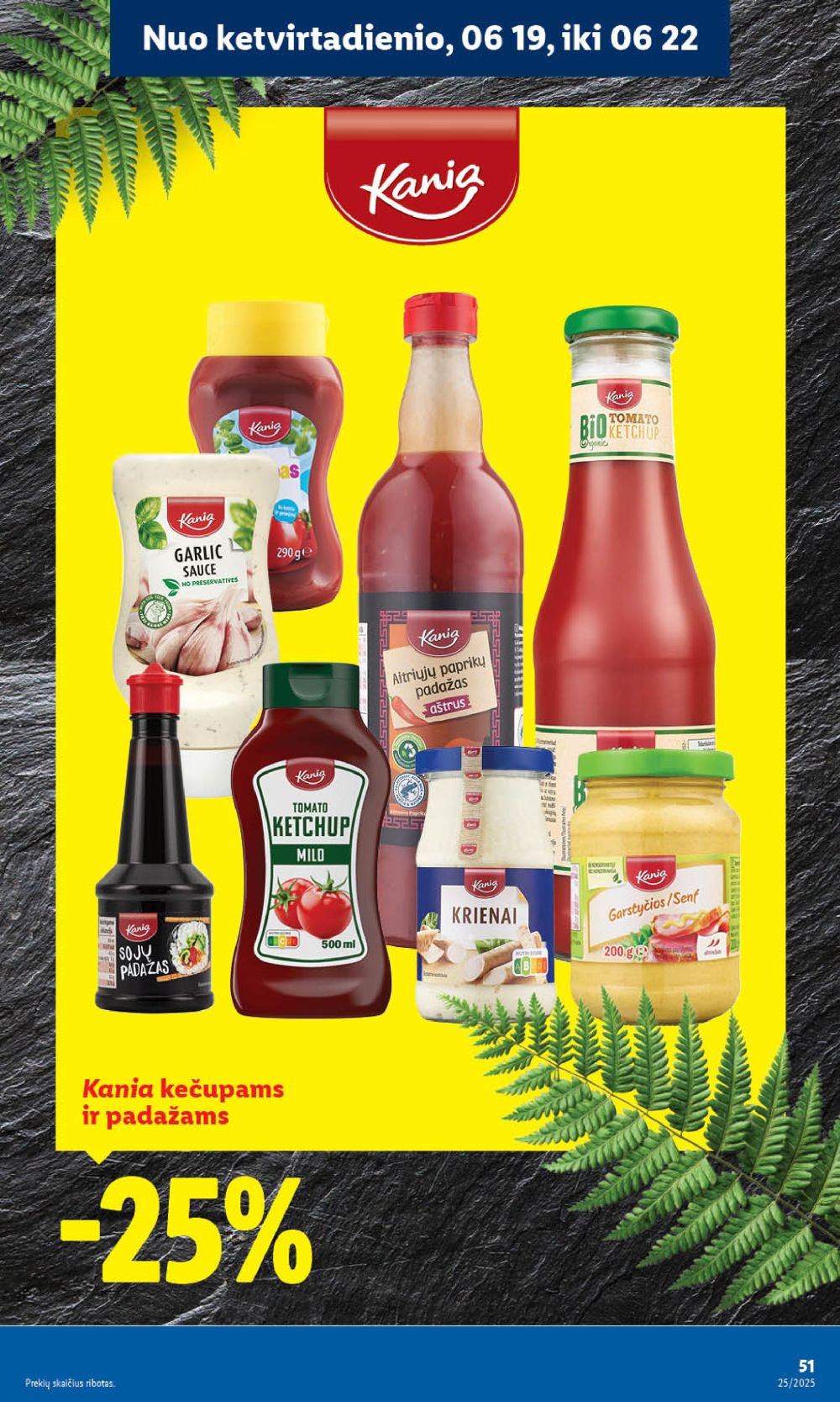 lidl - LIDL - Maisto prekių pasiūlymai (2025 06 19 - 2025 06 22) - page: 9 lidl - LIDL - Maisto prekių pasiūlymai (2025 06 19 - 2025 06 22) - page: 9