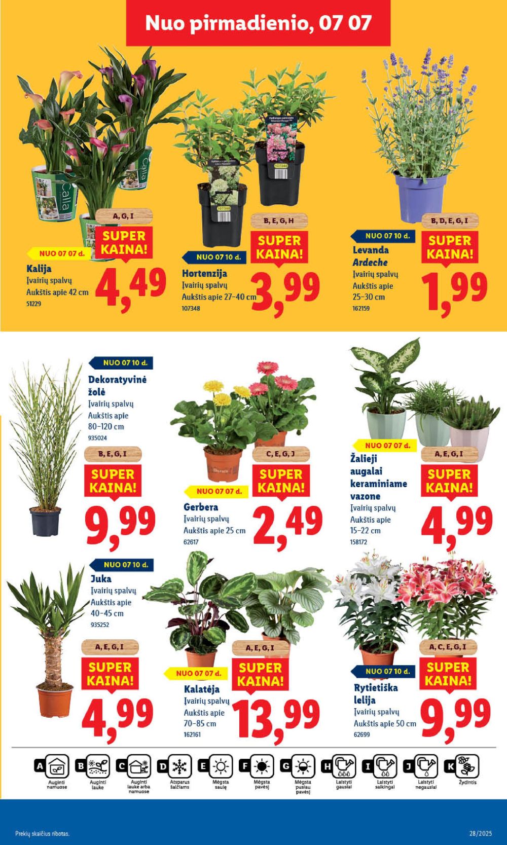 lidl - LIDL - Maisto prekių pasiūlymai (2025 07 10 - 2025 07 13) - page: 57 lidl - LIDL - Maisto prekių pasiūlymai (2025 07 10 - 2025 07 13) - page: 57