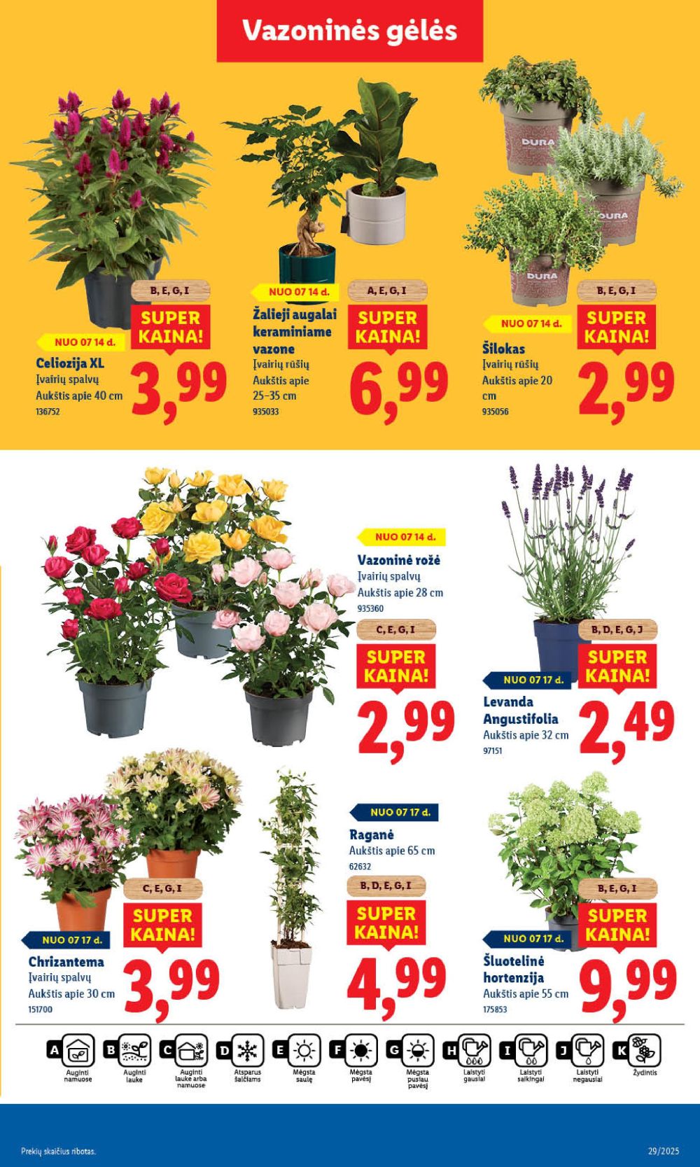 lidl - LIDL - Maisto prekių pasiūlymai (2025 07 17 - 2025 07 20) - page: 55 lidl - LIDL - Maisto prekių pasiūlymai (2025 07 17 - 2025 07 20) - page: 55