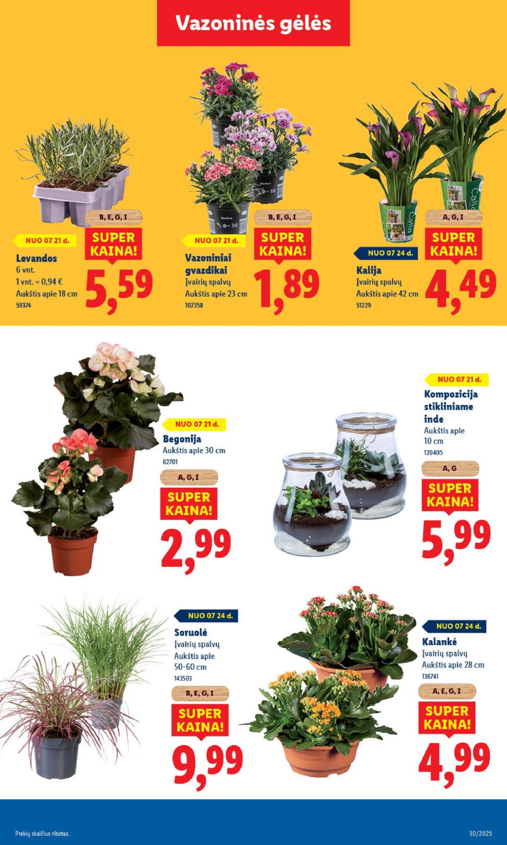 lidl - LIDL - Maisto prekių pasiūlymai (2025 07 24 - 2025 07 27) - page: 49 lidl - LIDL - Maisto prekių pasiūlymai (2025 07 24 - 2025 07 27) - page: 49