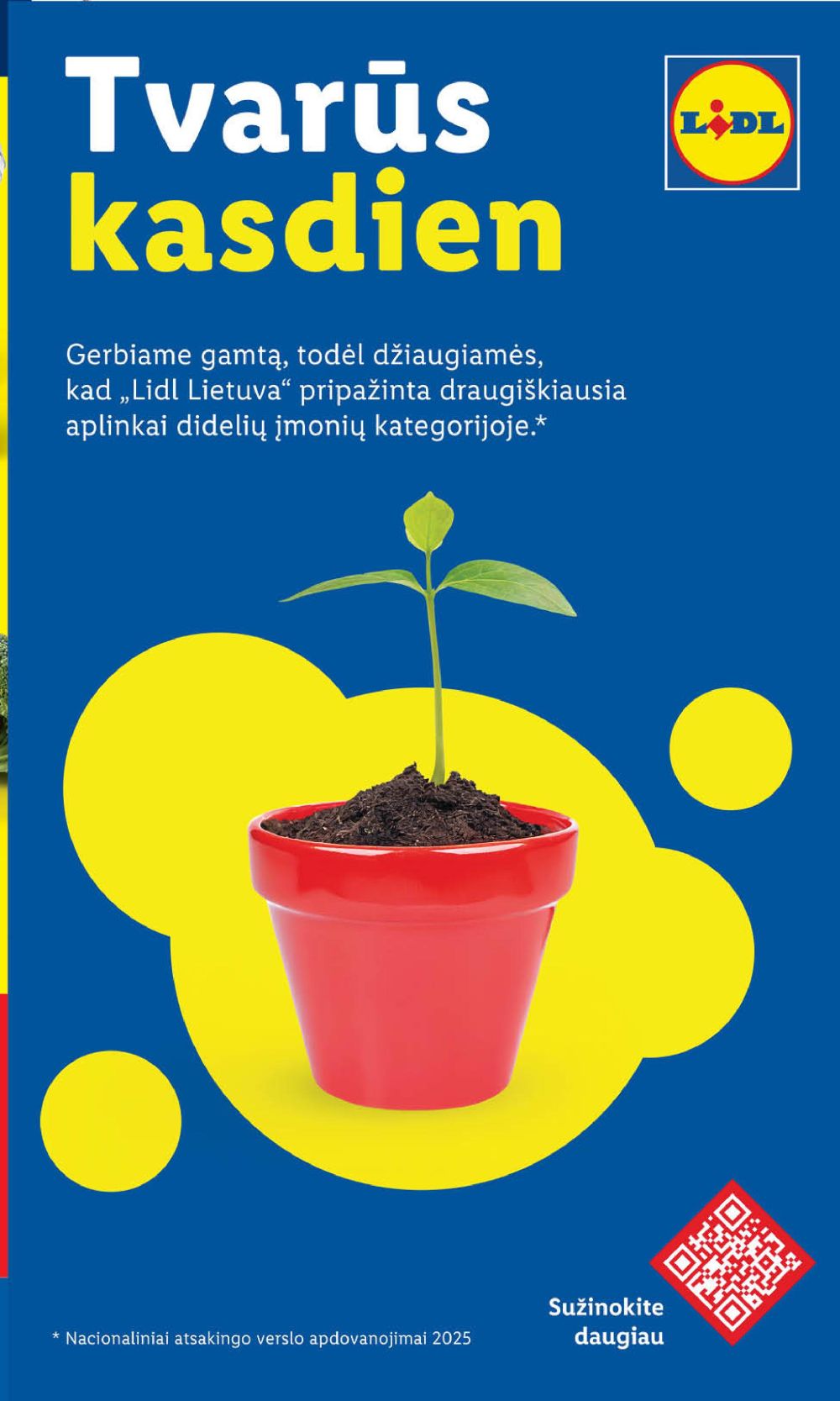 lidl - LIDL - Maisto prekių pasiūlymai (2026 01 02 - 2026 01 04) - page: 40