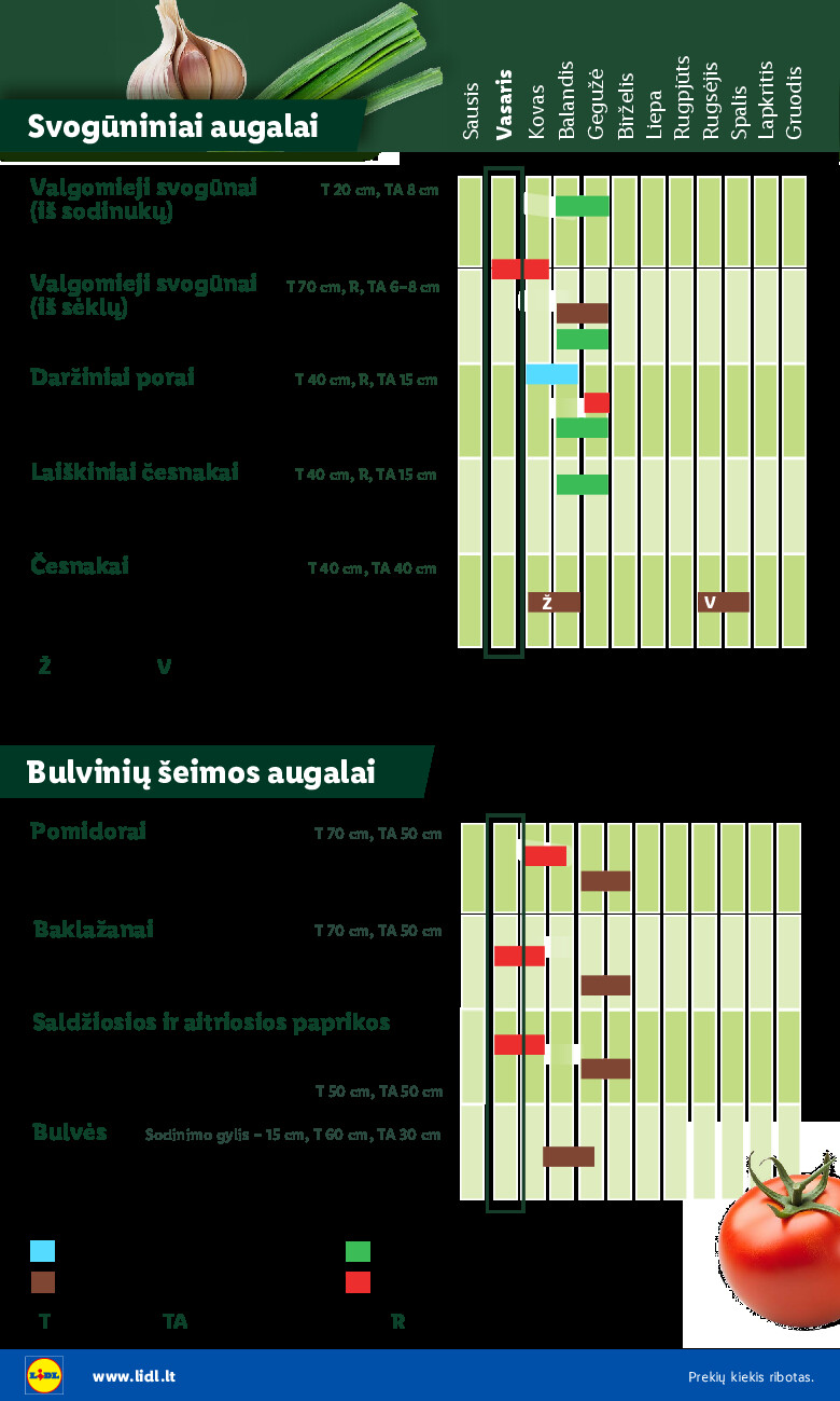 lidl - Sodui valio! (2026-02-16 - 2026-03-08) - page: 6