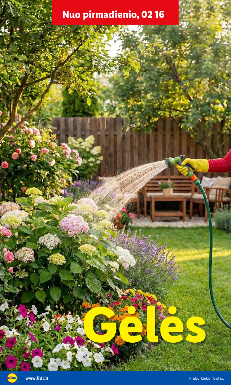 lidl - Sodui valio! (2026-02-16 - 2026-03-08) - page: 8