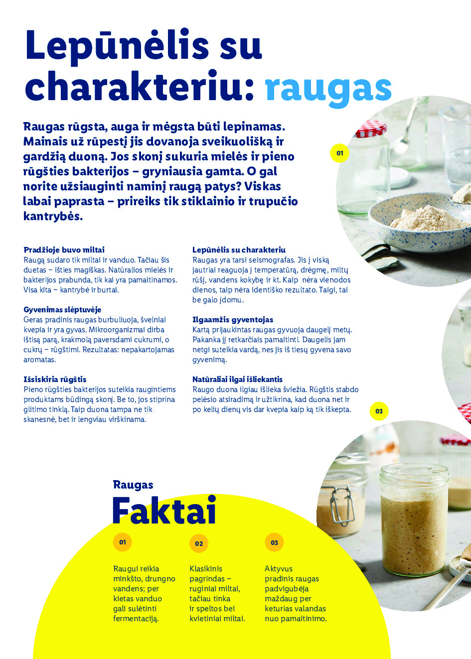 lidl - Velykos, pilnos džiaugsmo (2026-02-23 - 2026-04-06) - page: 38