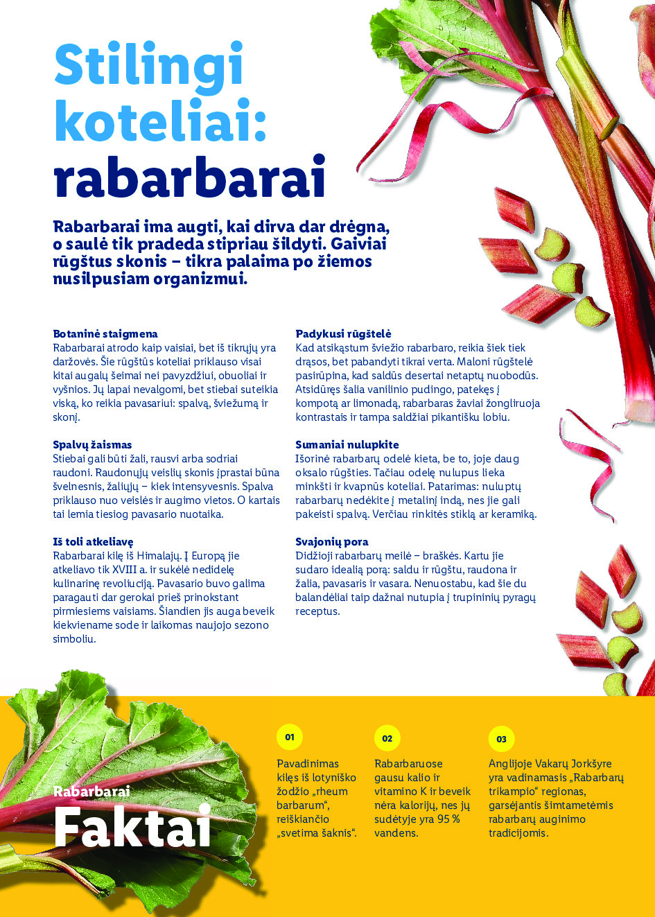 lidl - Velykos, pilnos džiaugsmo (2026-02-23 - 2026-04-06) - page: 66