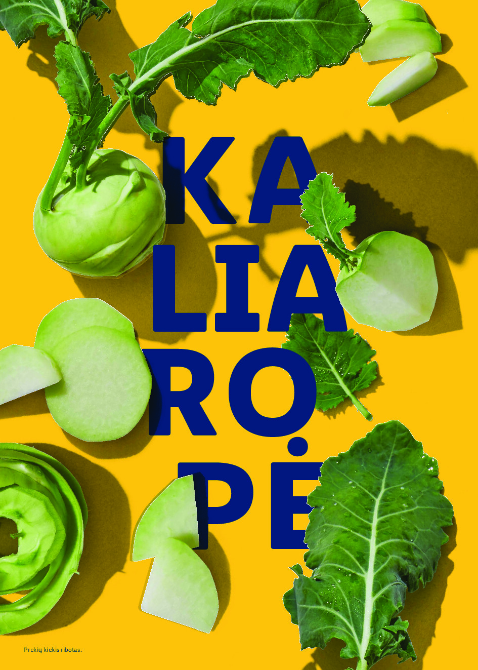 lidl - Velykos, pilnos džiaugsmo (2026-02-23 - 2026-04-06) - page: 70