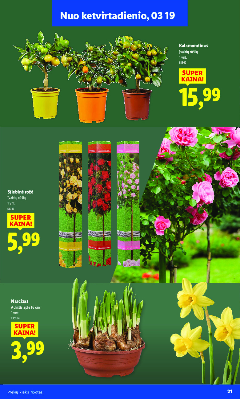 lidl - Sodui valio! (2026-02-16 - 2026-03-29) - page: 21