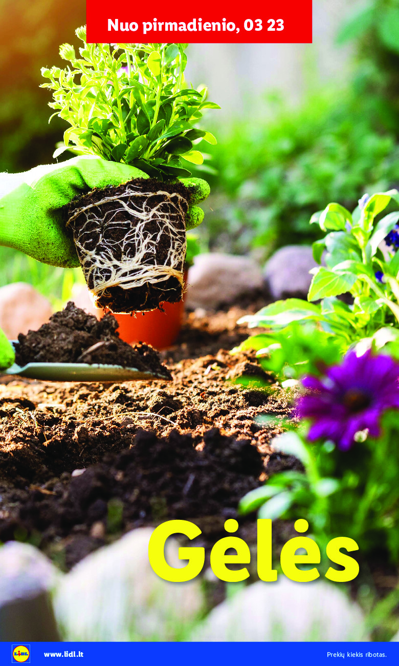 lidl - Sodui valio! (2026-02-16 - 2026-03-29) - page: 32