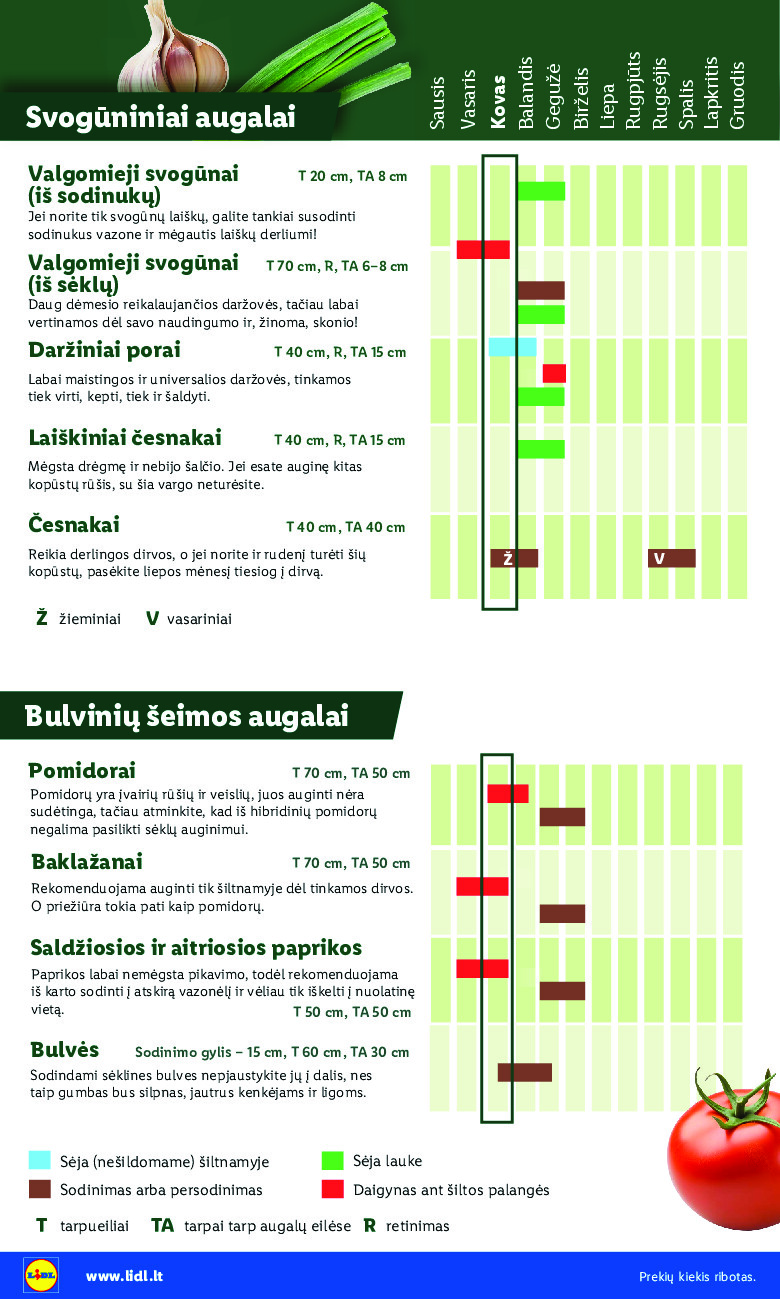 lidl - Sodui valio! (2026-02-16 - 2026-03-29) - page: 6