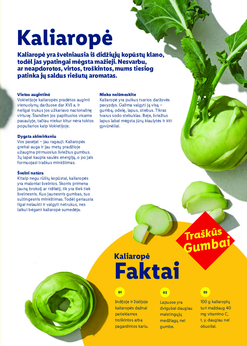 lidl - Velykos, pilnos džiaugsmo (2026-02-23 - 2026-04-06) - page: 81