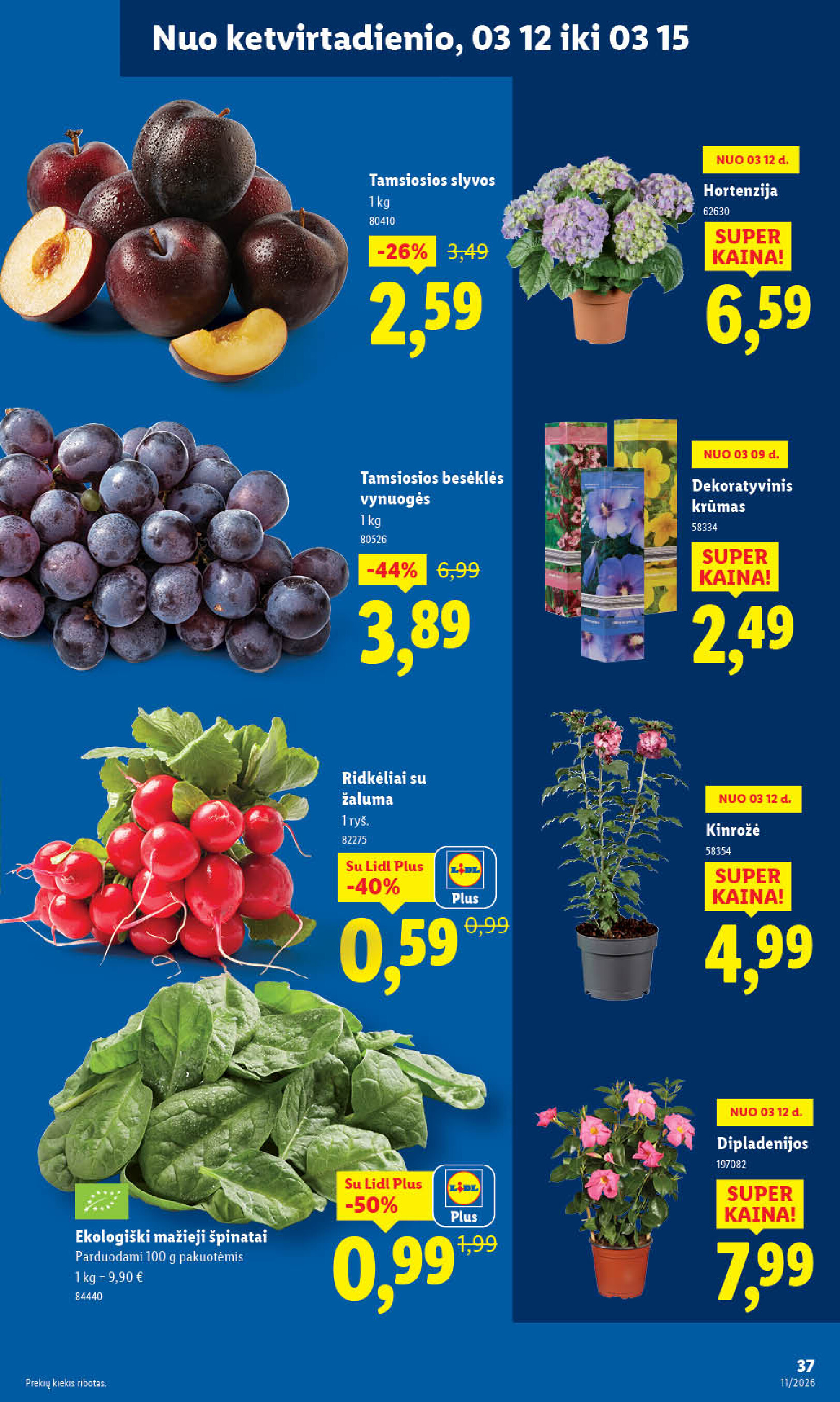 lidl - MAISTO PREKIŲ PASIŪLYMAI (2026-03-09 - 2026-03-15) - page: 37