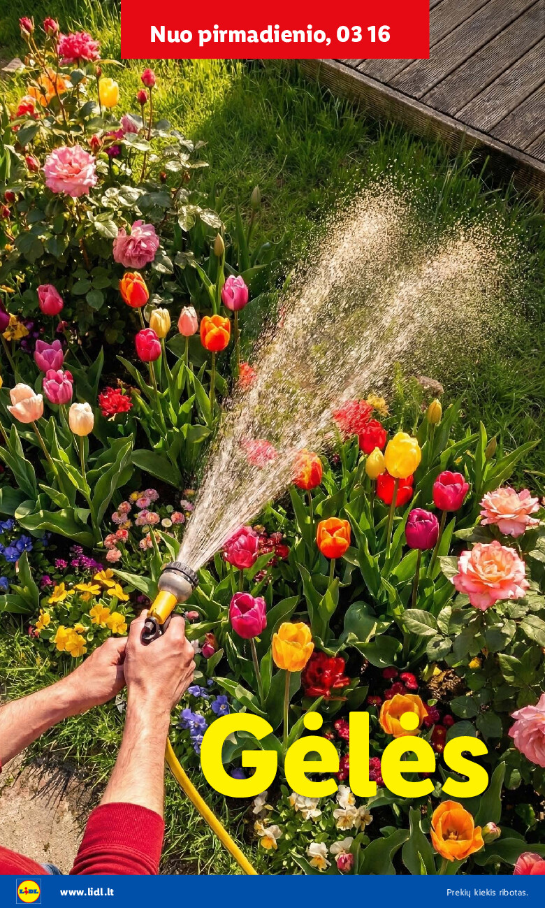 lidl - Sodui valio! (2026-02-16 - 2026-03-29) - page: 18