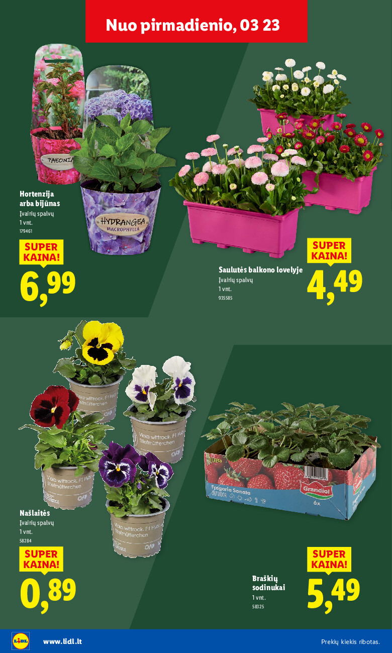 lidl - Sodui valio! (2026-02-16 - 2026-03-29) - page: 34