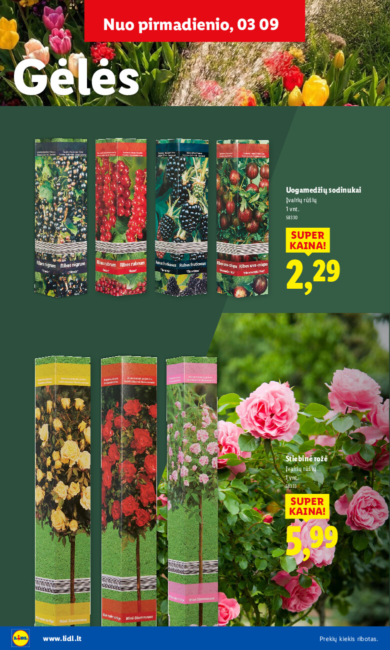 lidl - Sodui valio! (2026-02-16 - 2026-03-29) - page: 8