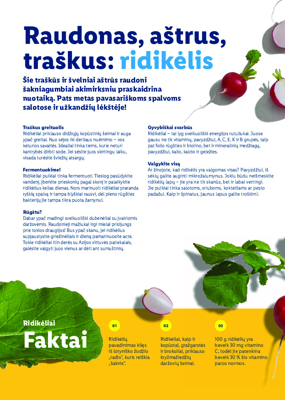 lidl - Velykos, pilnos džiaugsmo (2026-02-23 - 2026-04-06) - page: 54