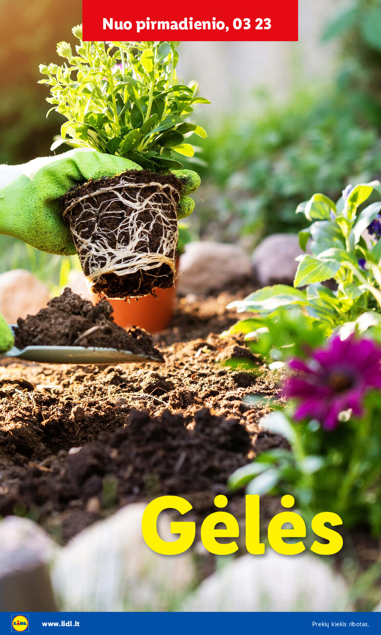 lidl - Sodui valio! (2026-02-16 - 2026-03-29) - page: 32