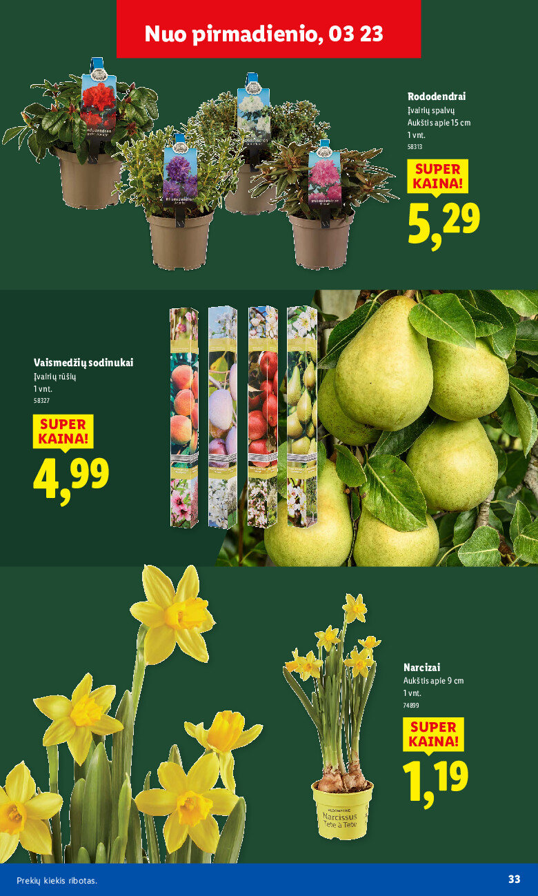 lidl - Sodui valio! (2026-02-16 - 2026-03-29) - page: 33