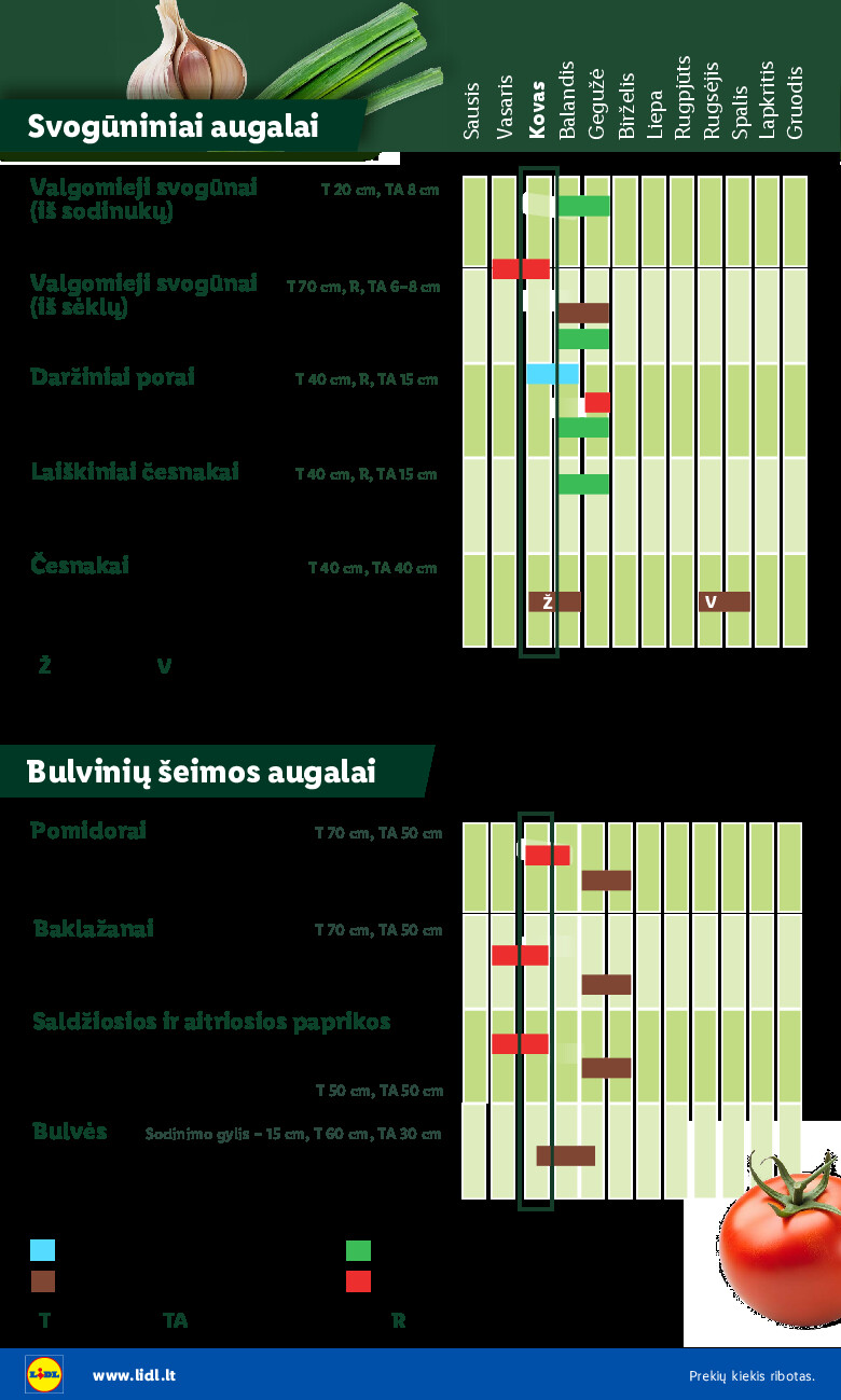 lidl - Sodui valio! (2026-02-16 - 2026-03-29) - page: 6