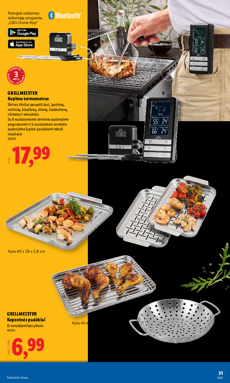 lidl - Grilio katalogas (2026-04-06 - 2026-08-31) - page: 31