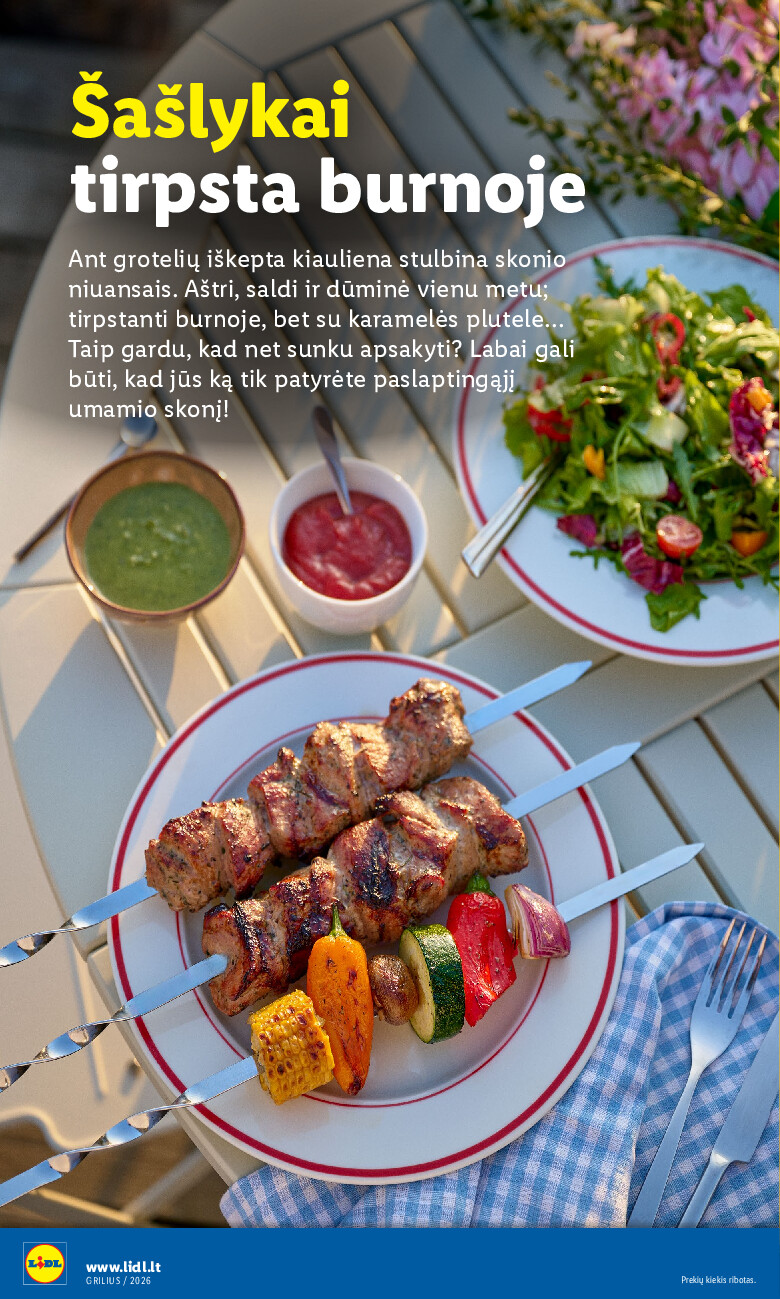 lidl - Grilio katalogas (2026-04-06 - 2026-08-31) - page: 8