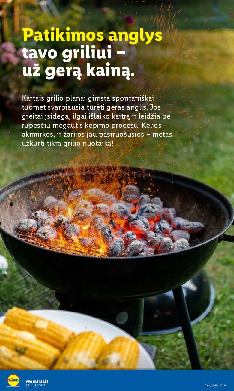 lidl - Grilio katalogas (2026-04-06 - 2026-08-31) - page: 32