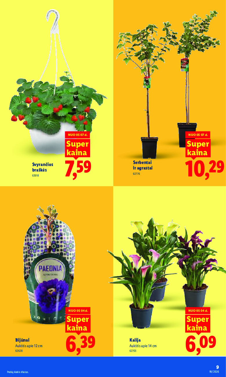lidl - MAISTO PREKIŲ PASIŪLYMAI (2026-05-04 - 2026-05-10) - page: 9