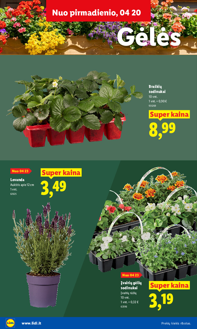 lidl - Sodui valio! (2026-02-16 - 2026-06-07) - page: 8