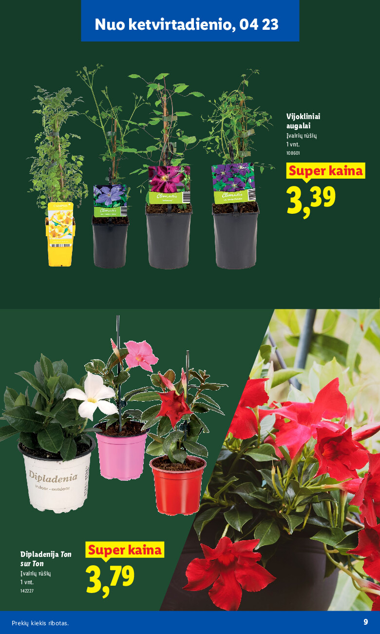 lidl - Sodui valio! (2026-02-16 - 2026-06-07) - page: 9